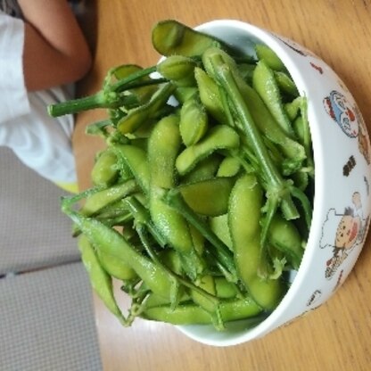 どっさぁー！今年も枝豆の季節だね～。